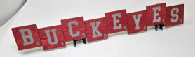 Ohio State Buckeyes